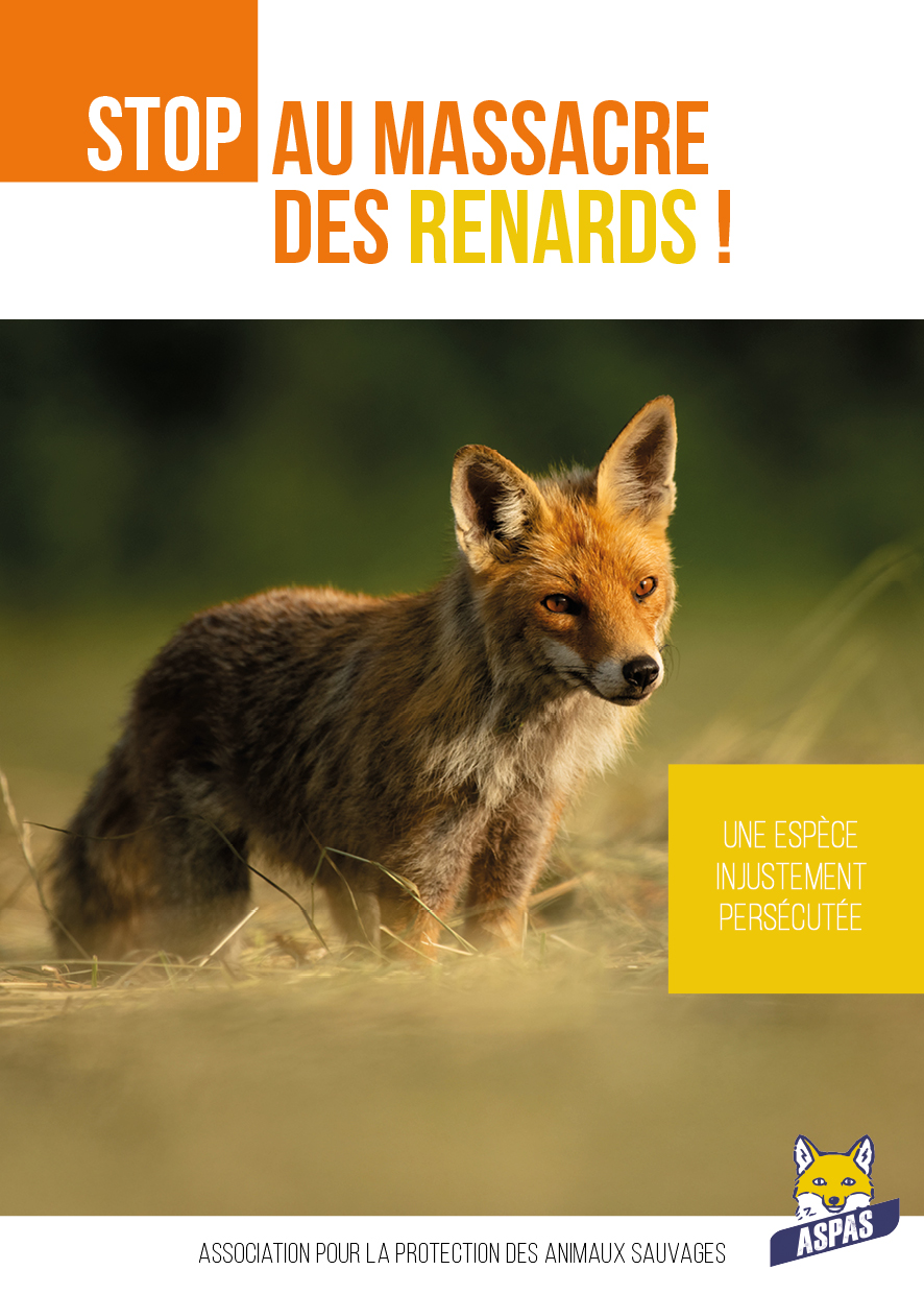 « Stop au massacre des renards ! »