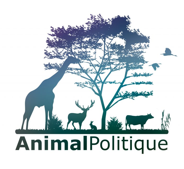 Élections législatives 2017 : Invitons les candidats à s’engager pour les animaux !