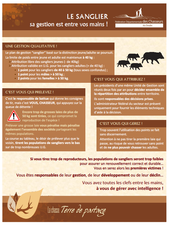 Appeau Sanglier Appel à Sanglier En Bois - Sifflet De Chasse Portable Appel Sauvage