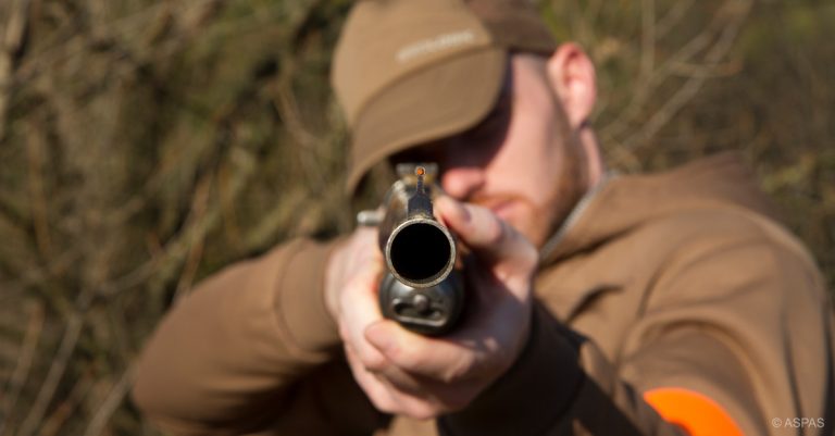 Urgent : Exprimez-vous contre le transfert de compétences aux chasseurs