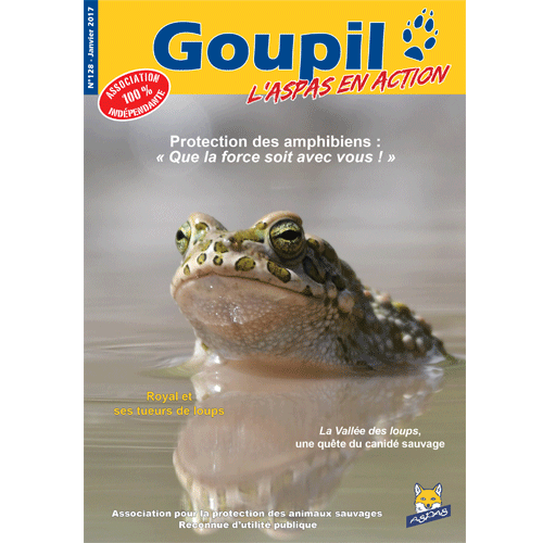 Goupil n°128 - Janvier 2017