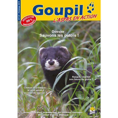 Goupil 137 - Printemps 2019