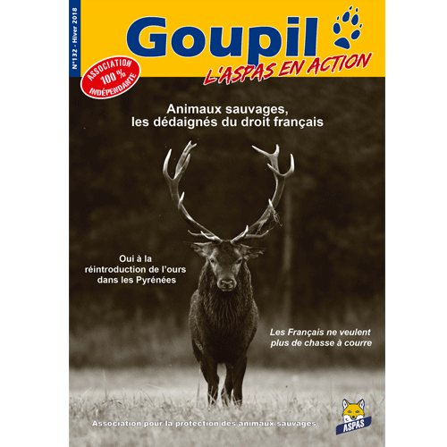 Goupil 132 - Hiver 2018