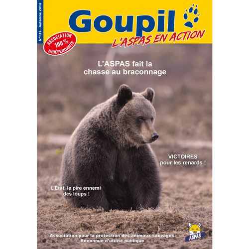 Goupil 135 - Automne 2018