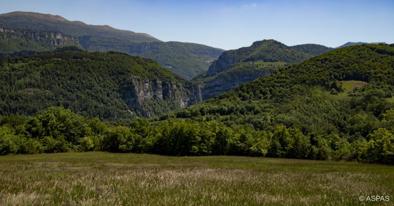 Le printemps sur Vercors Vie Sauvage