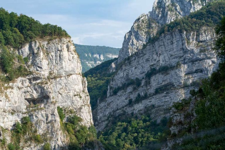 Un demi-million d’euros de dons de citoyens pour une nature libre et sauvage !