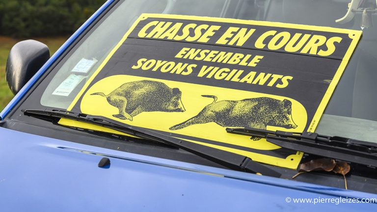 Bilan officiel de la chasse 2020-2021 : des incidents en hausse !