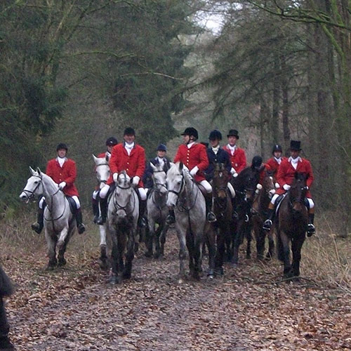 Tous unis contre la chasse à courre !