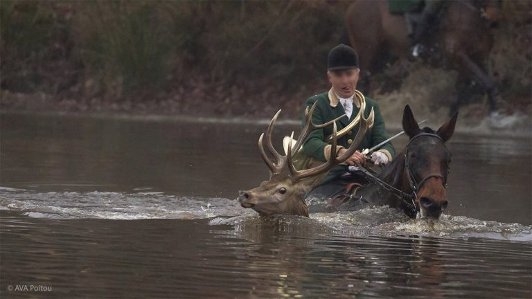 La chasse à courre, loisir sanguinaire d’un autre temps