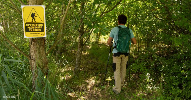 Mobilisation générale contre la chasse estivale !