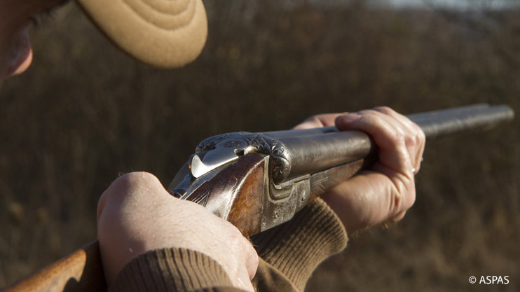 La liste des départements où les chasseurs échappent au confinement