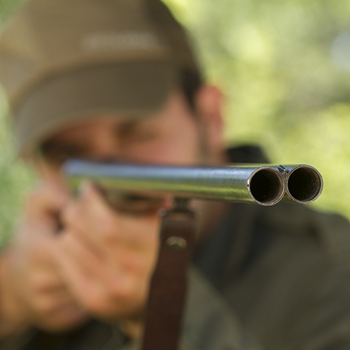 Les Français ont peur de la chasse (sondage IFOP)