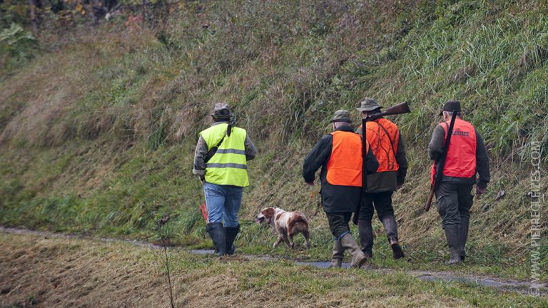 Comment chasseurs et piégeurs ont échappé au (premier) confinement