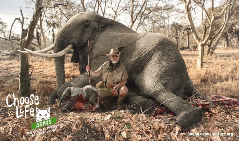 Pour Willy Schraen, les safaris-chasse c'est légal, donc c'est bien