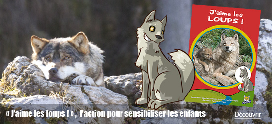 "J'aime les loups !" : l'action de l'ASPAS pour sensibiliser les enfants