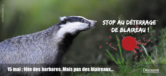 15 mai : fête des barbares, mais pas des blaireaux !