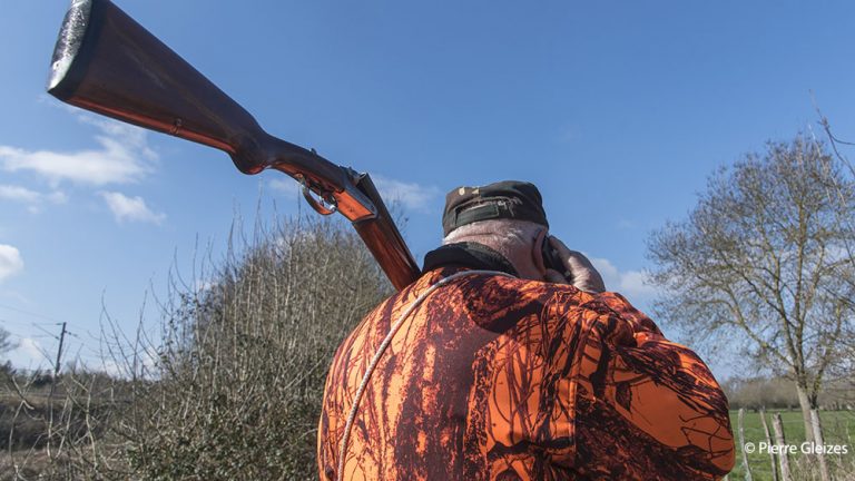 L’insécurité liée à la chasse arrive devant le Sénat !