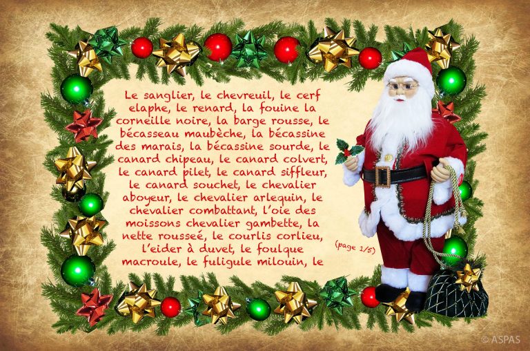 La lettre au Père Noël de Willy et ses amis