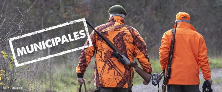 Municipales : quels pouvoirs du maire sur la chasse ?