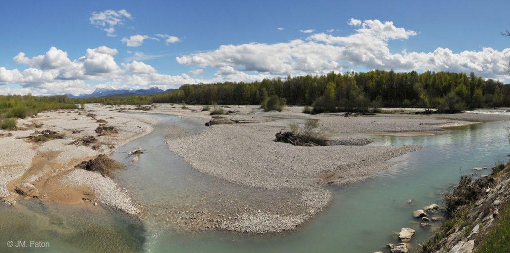 L’ASPAS a fait l’ouverture de la chasse dans la Réserve naturelle des Ramières 