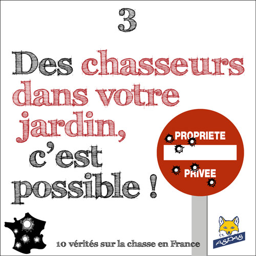 Vérité sur la chasse en France 3/10 : Des chasseurs dans votre jardin, c'est possible !