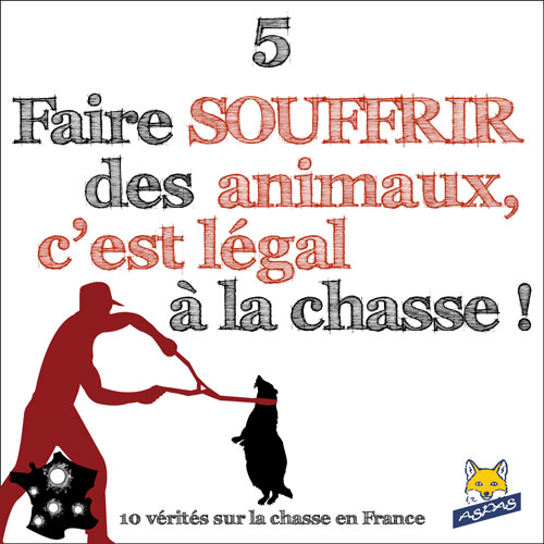 Vérité sur la chasse en France 5/10 : Faire souffrir des animaux, c'est légal à la chasse !