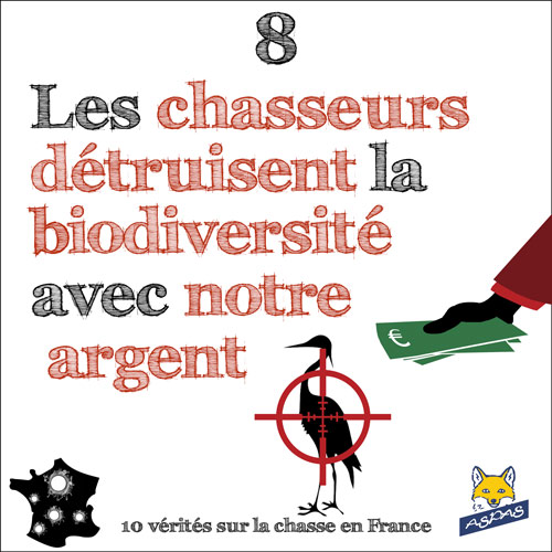 Vérité sur la chasse 8/10 : les chasseurs détruisent la biodiversité avec notre argent