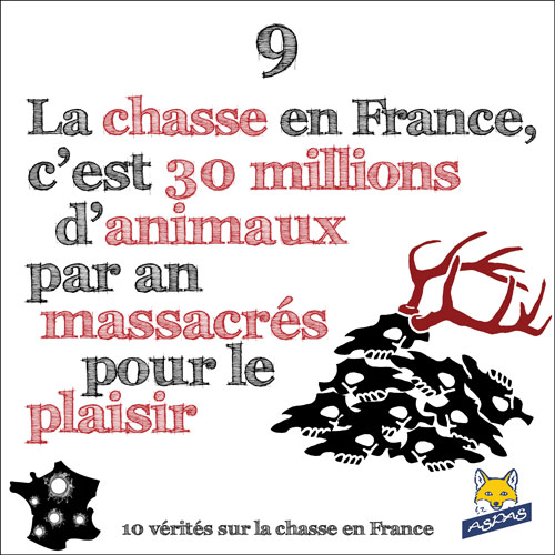 Vérité sur la chasse 9/10 : la chasse en France, c’est 30 millions d’animaux, par an, massacrés pour le plaisir !