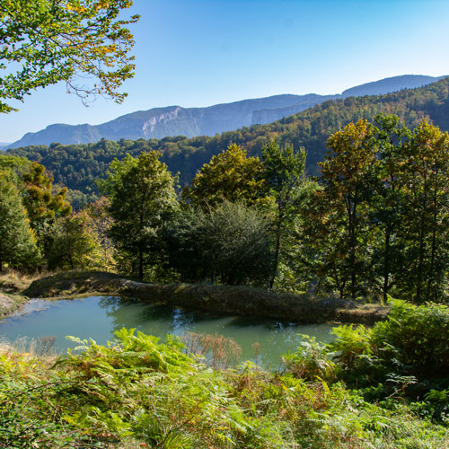 Soutenez le projet Vercors Vie Sauvage