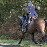 Vénères contre les veneurs : les Français ne veulent plus de chasse à courre