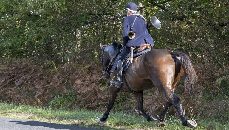 vénères contre les veneurs : les français ne veulent plus de chasse à courre 1 Vénères contre les veneurs : les Français ne veulent plus de chasse à courre