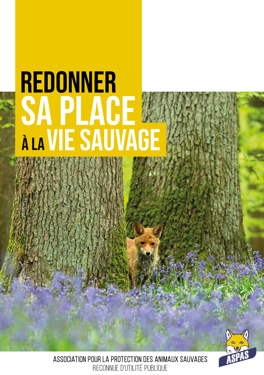 Redonner sa place à la vie sauvage