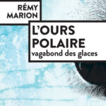 L'ours polaire : vagabond des glaces - Rémy Marion