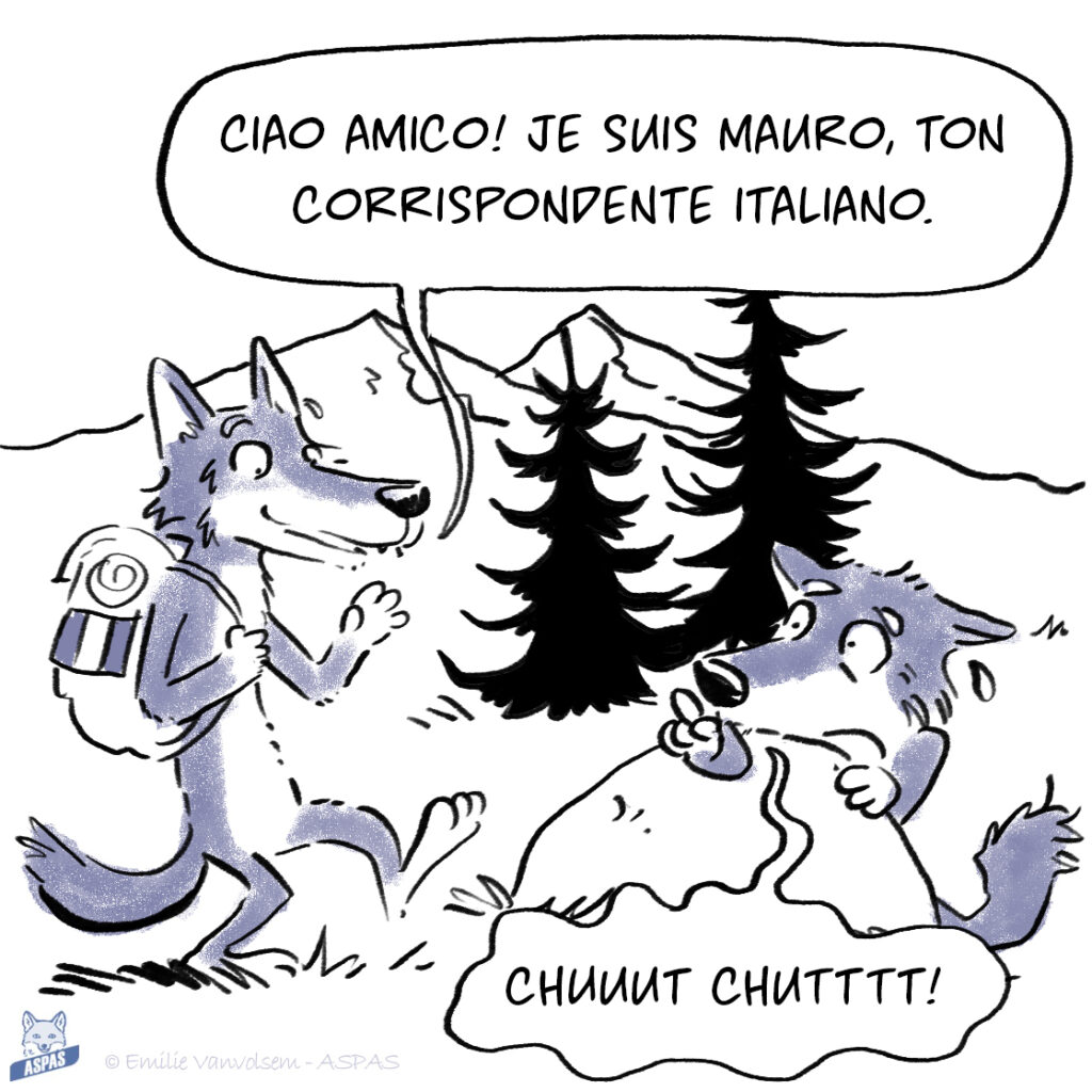 BD - Quand un loup italien rend visite à son cousin français...