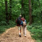 Besançon limite la chasse dans ses forêts !