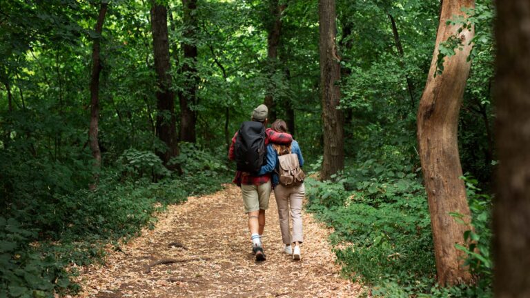 Besançon limite la chasse dans ses forêts !