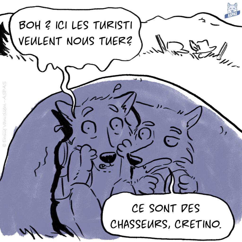 BD - Quand un loup italien rend visite à son cousin français...