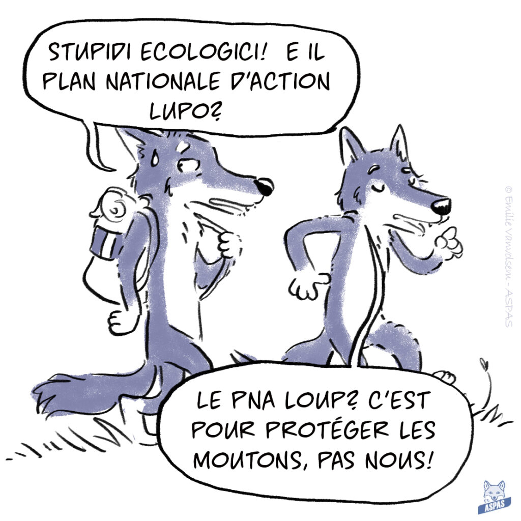 BD - Quand un loup italien rend visite à son cousin français...