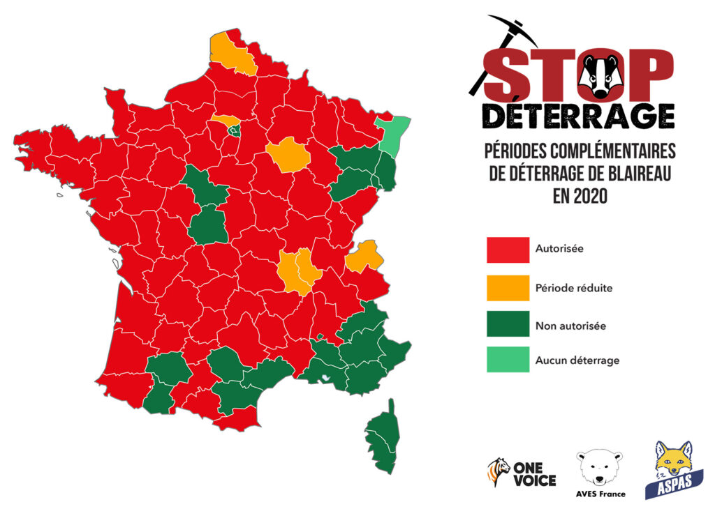 Des victoires à la pelle contre le déterrage, une chasse qui disparaît à petit feu !