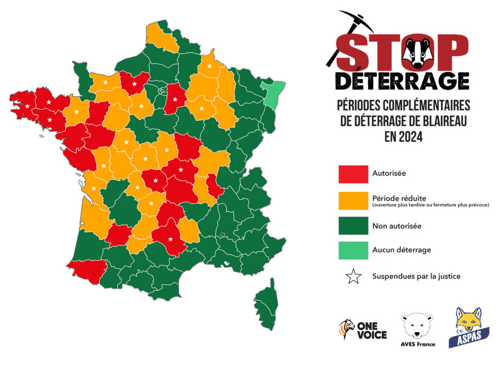 Des victoires à la pelle contre le déterrage, une chasse qui disparaît à petit feu !