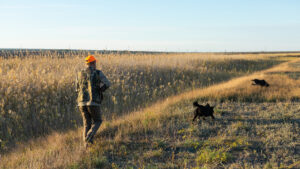 Haute-Marne : 450 000 euros d'argent public pour financer le loisir de la chasse !