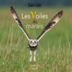 Les voiles du marais - Fabrice Cahez