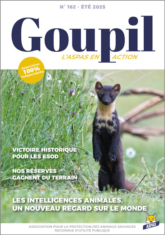 Le magazine "Goupil" n°162 de l'ASPAS est arrivé !