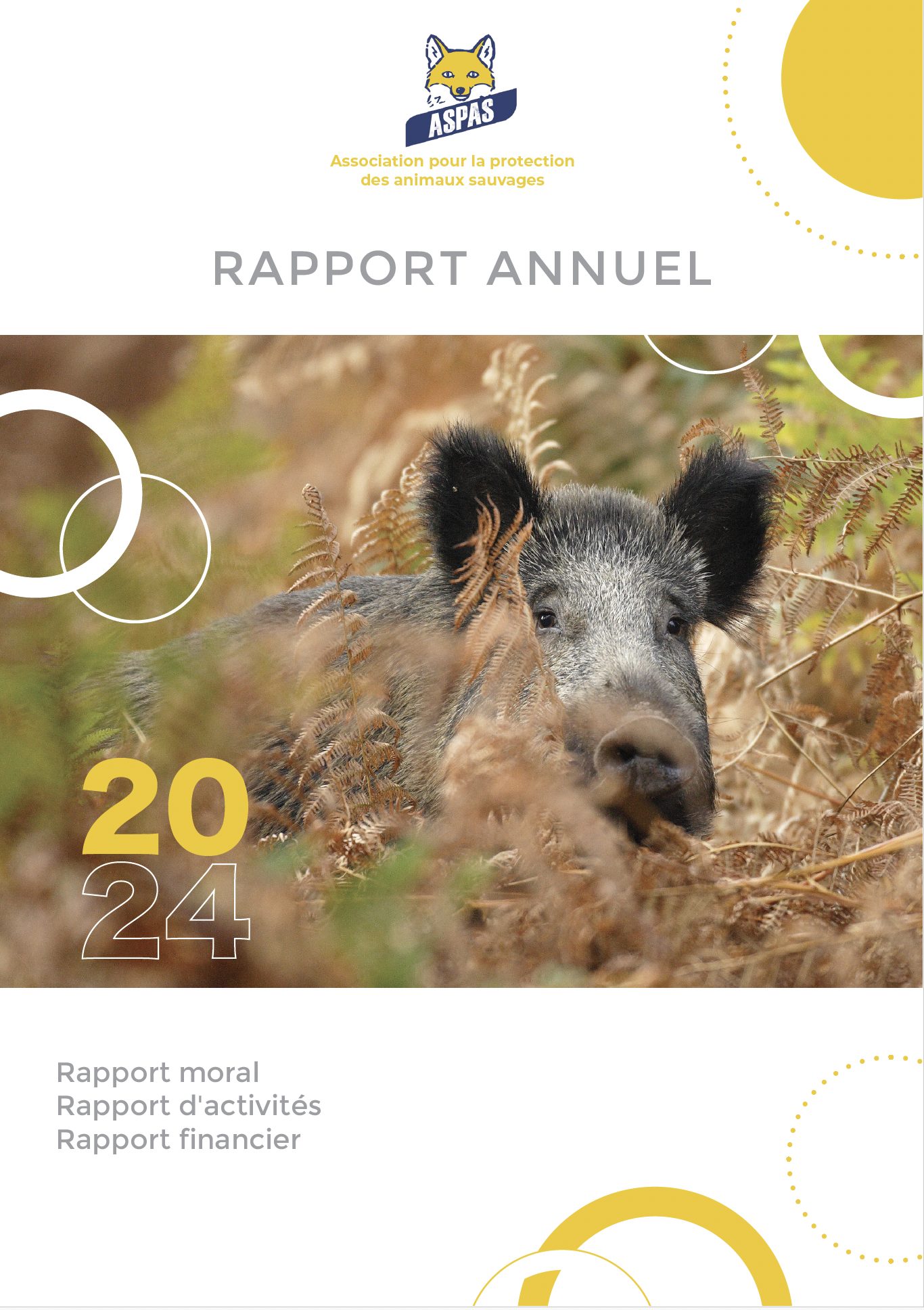 Rapport annuel 2024
