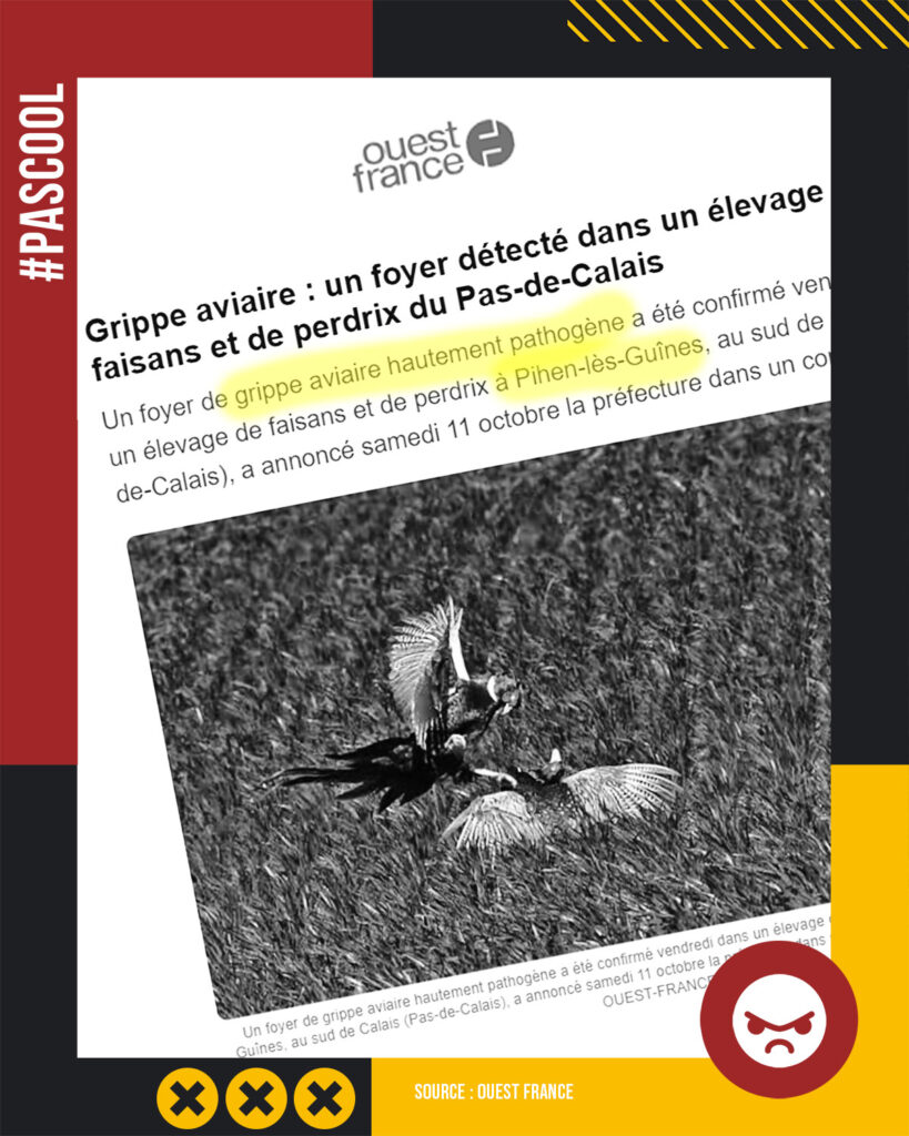 Un cas de grippe aviaire découvert dans un élevage de faisans du Pas-de-Calais