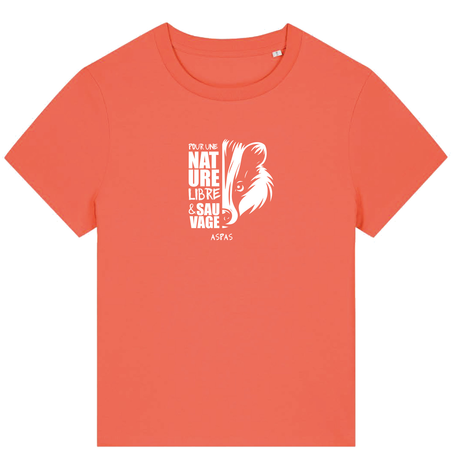 T-shirt coupe femme Blaireau