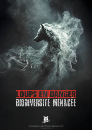 affiche-loup-a1 Affiche A1 "Loups en danger"