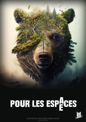 affiche-ours-a1 Affiche A1 "Pour les espaces/espèces"