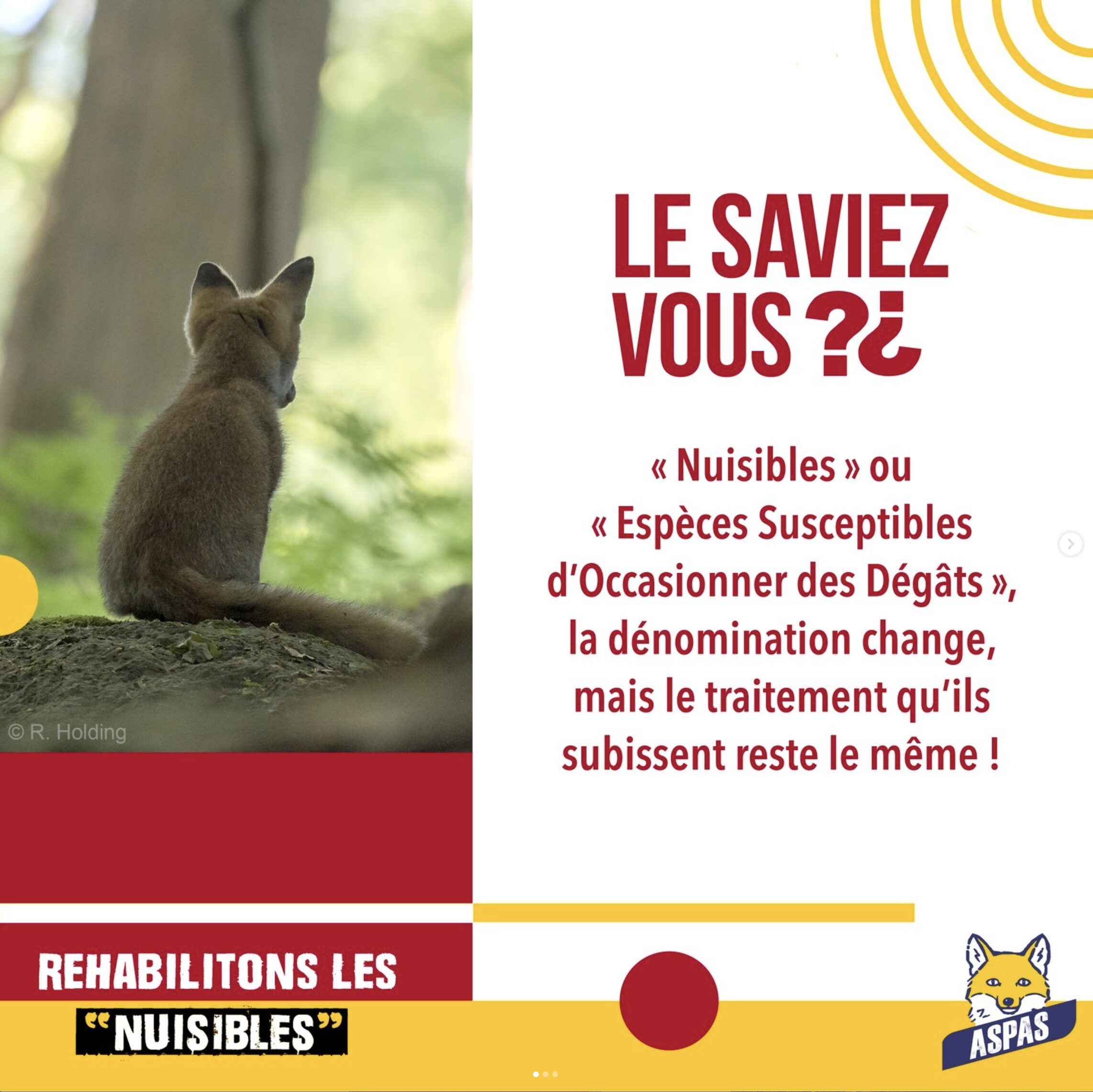 sensibilisation autour des "nuisibles" 1 Capture d’écran 2025-11-20 à 14.47.54