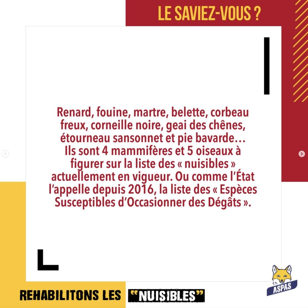 Sensibilisation autour des "nuisibles"